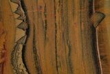 Polished Packsaddle Tiger Eye Slab - Western Australia #216785-1